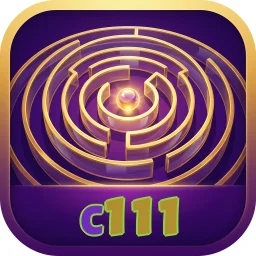 c111